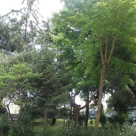 Omar Sultan Park ホテル *