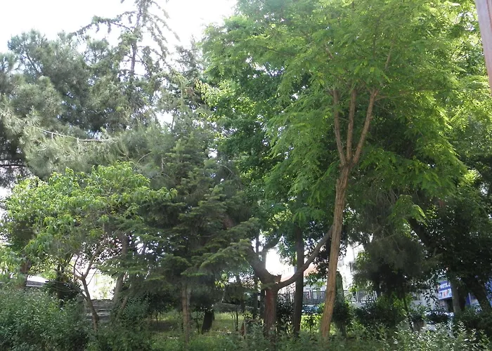 Omar Sultan Park Hotell *