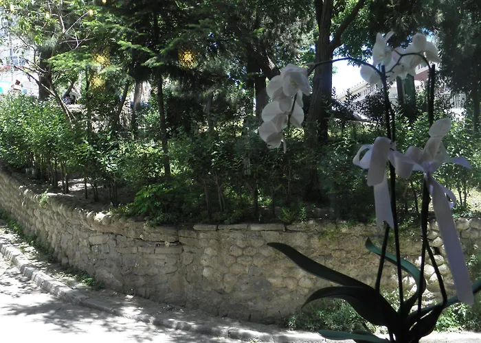 Omar Sultan Park * Istambul